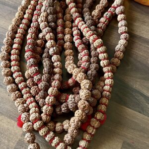 Mala (collana di frutti di rudraska)